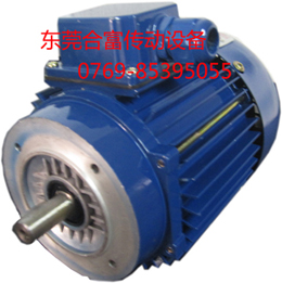 ҹӦYS/Y2-100L2-4-3KW 첽