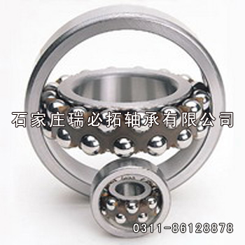 ձNSK2209ڵ
