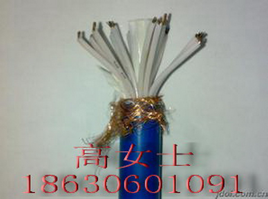 ZRA-KYJV23---2*0.75ǮһAȼƵ