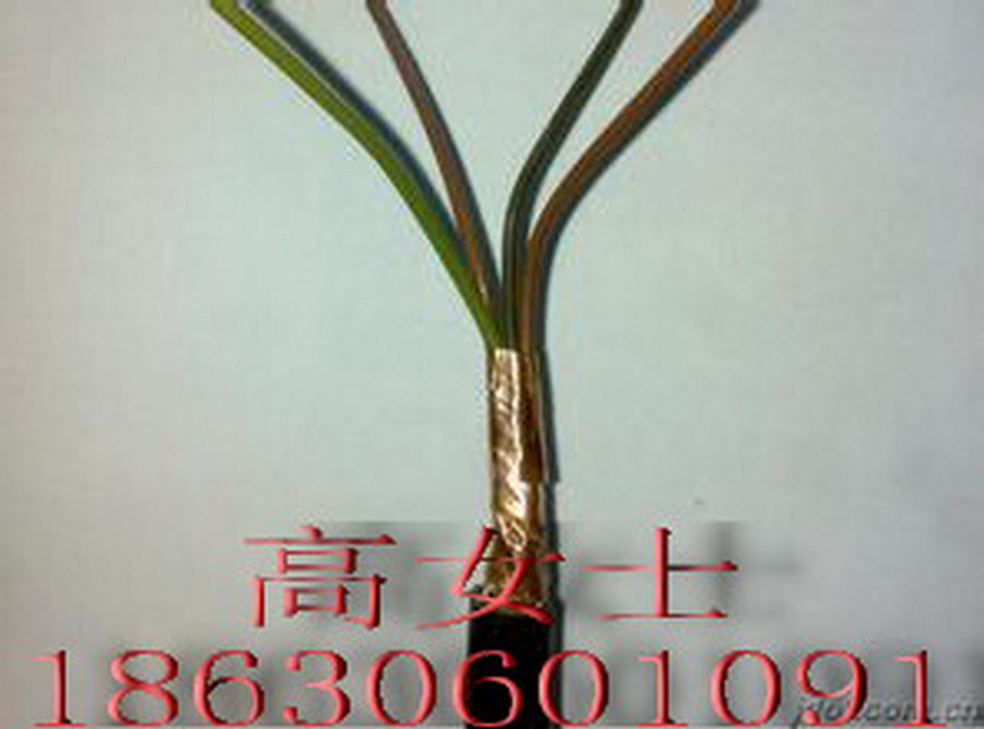 ZRA-KYJV23--16*10ǮһAȼƵ