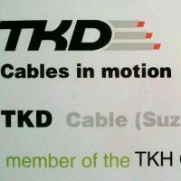 ض۹ҵ޹˾TKD)