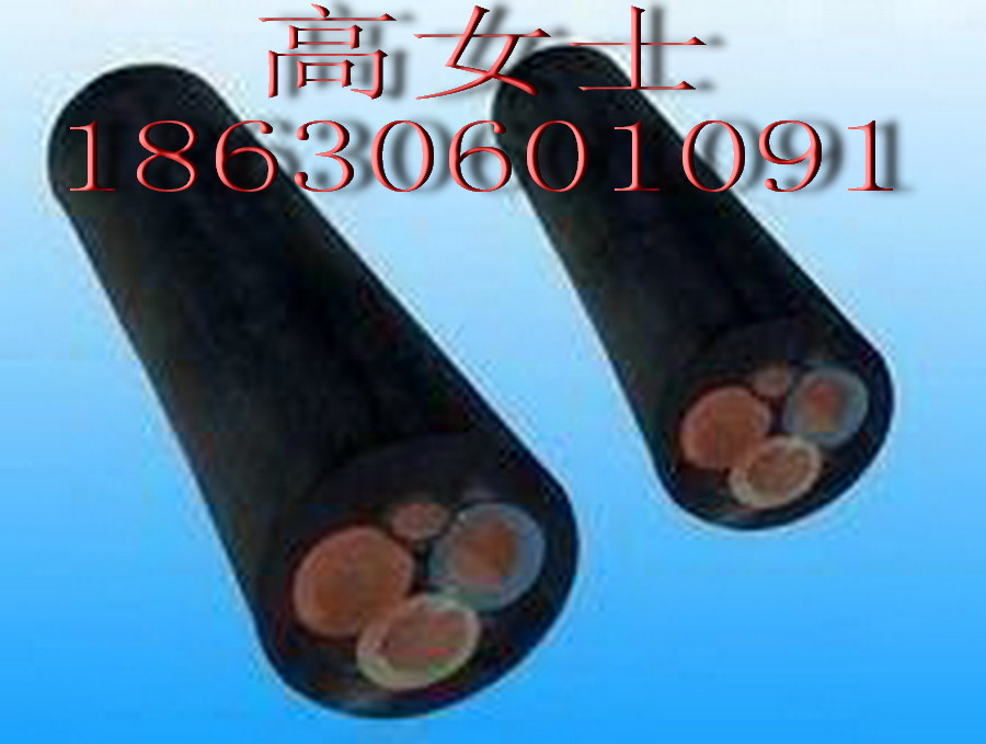 YCW450/750Vƶ׵4MM2/Ǯһ