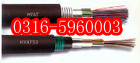 Ȫ1X2X22AWG³ңASTP-120ŷķ