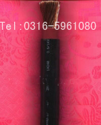 ӦȼԴZA-RVV 1X95