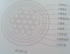 װοƵKVVP22