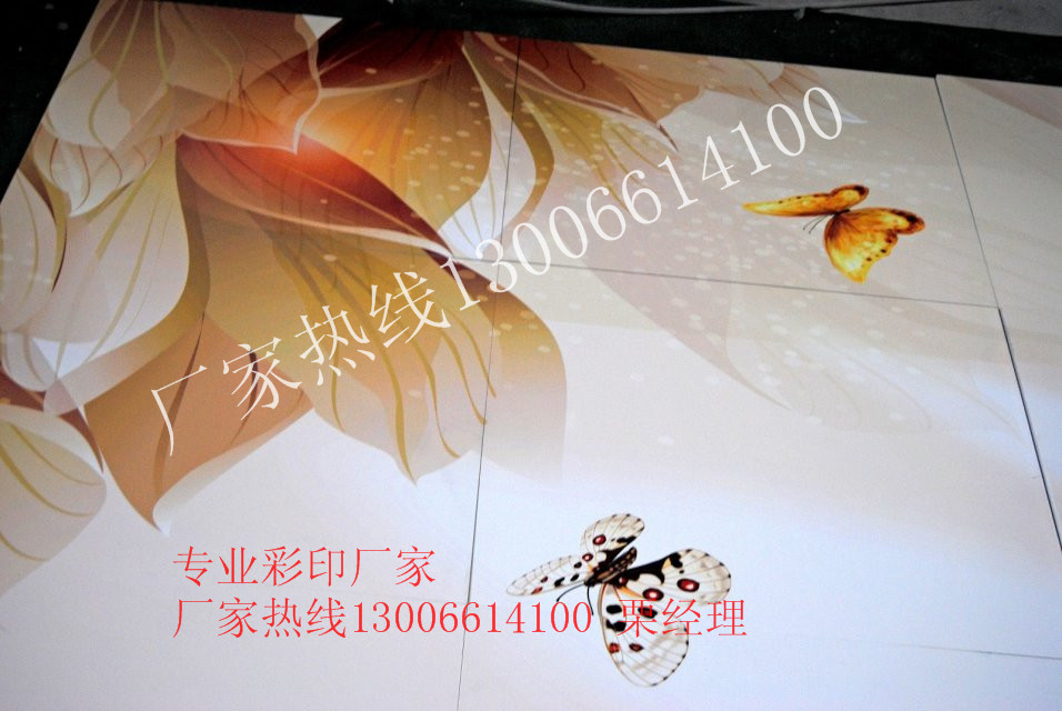 3Dӱǽӡ
