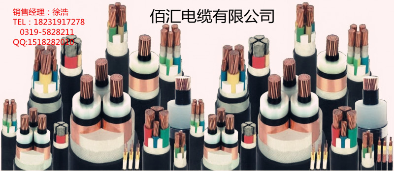 YJV[1]1*2.5ͭоϩԵϩ׵ ۻ