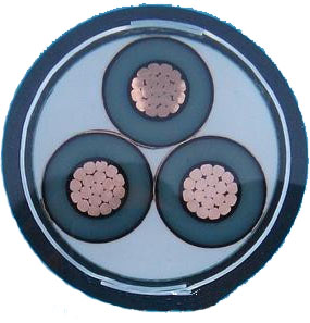 ZC-YJV22-8.7/15KV-3*300޹˾