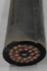  YCW 0.6/1KV 1*10