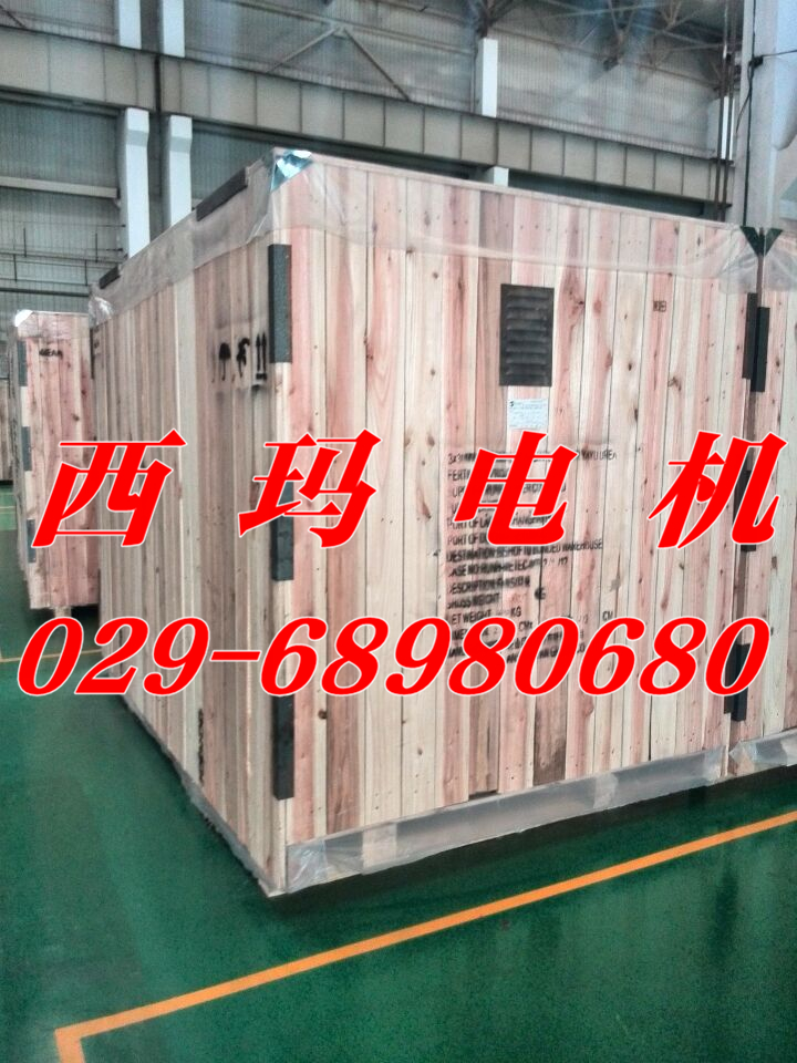 Y.YKS5602-8/900KW/6KV/IP55/IMB3ʽѹ