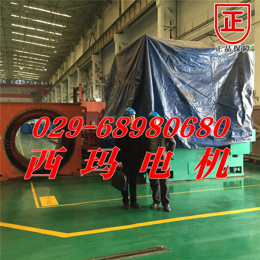 YRKK8006-10 1400KW 10KV̩ߵ