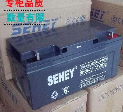 12V65AH SEHEY SH65-12 UPSר