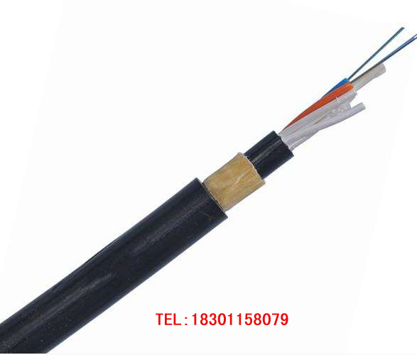ƽadss-24b1-300
