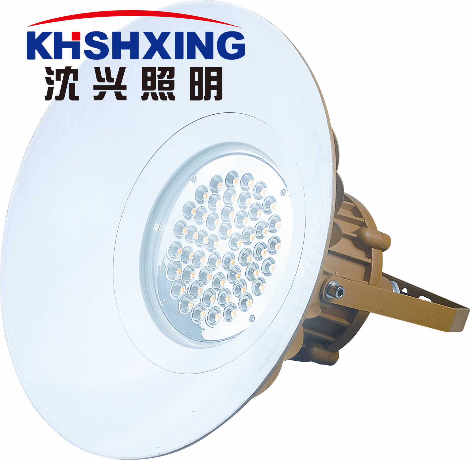 LED ԲLED100W