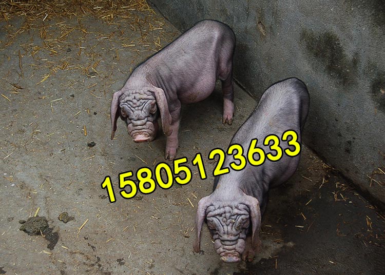 ̫ĸǮһͷг̫ĸ