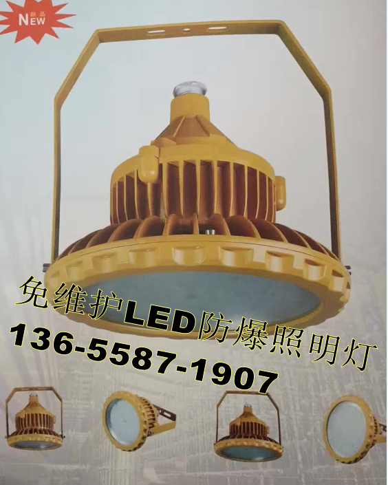 LEDܵBLD91-50G 50W ʽ