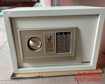 ݸӦƷʺYA SAFE ELECTRONIC SYSTEM Сչ