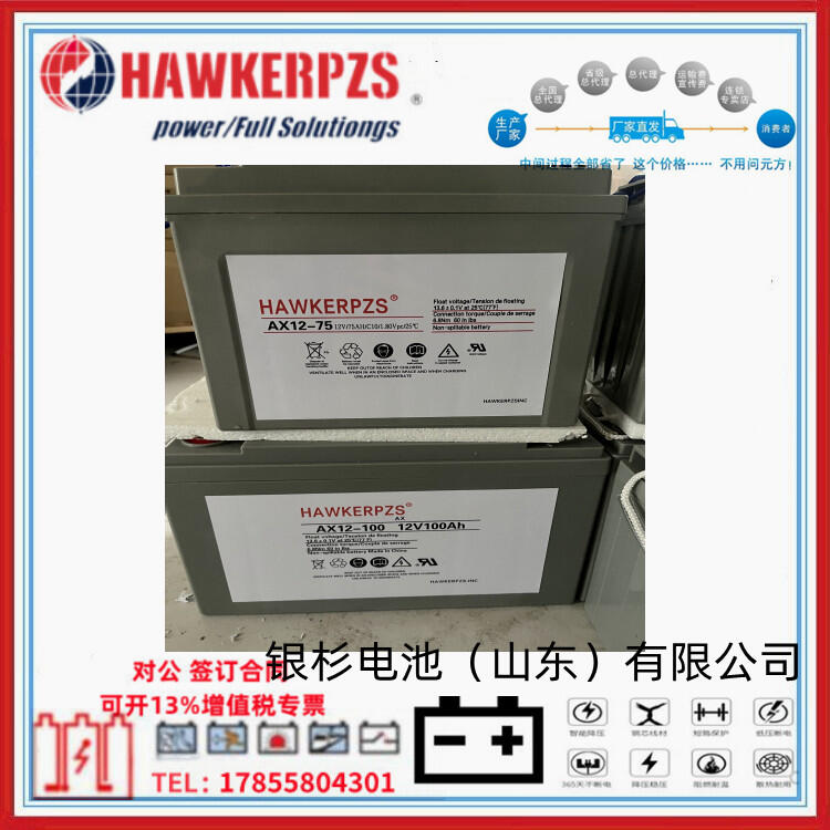 HAWKERPZSά12V60AH Сͣ ԭװ ֻ