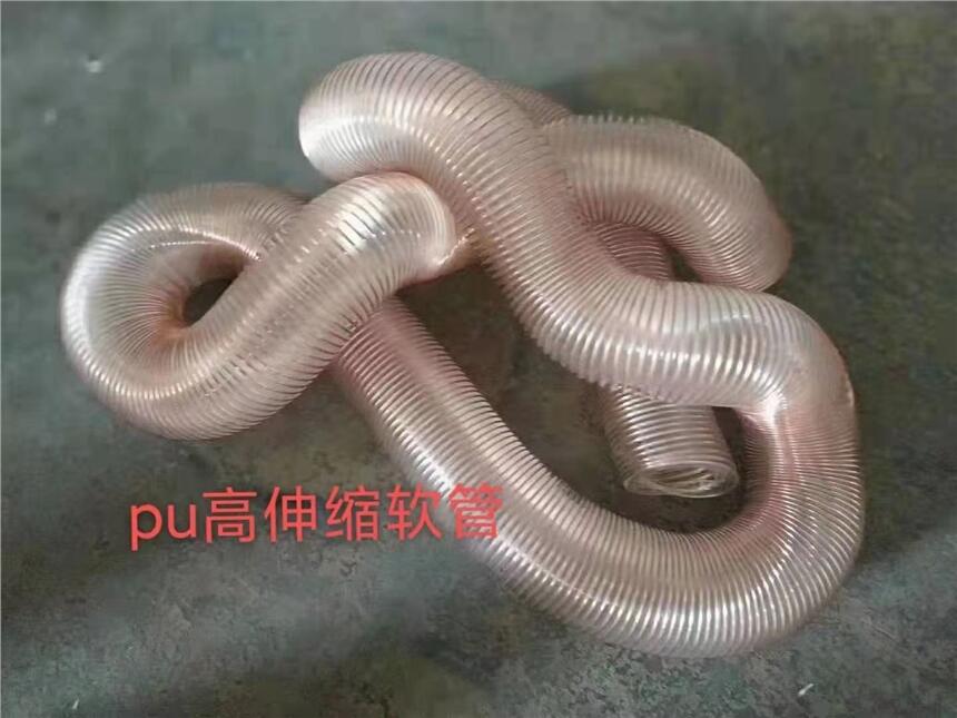 pu˿