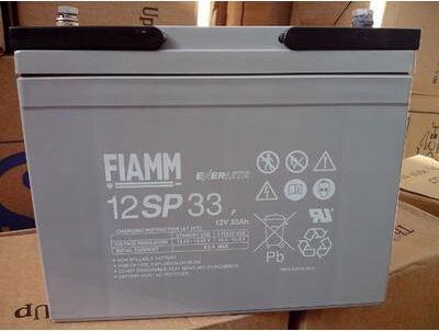 ǷFIAMM2GM600/2v600ahר