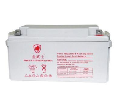 ʿPW65-12 12V65AH/10HR UPS/ֱ άǦ