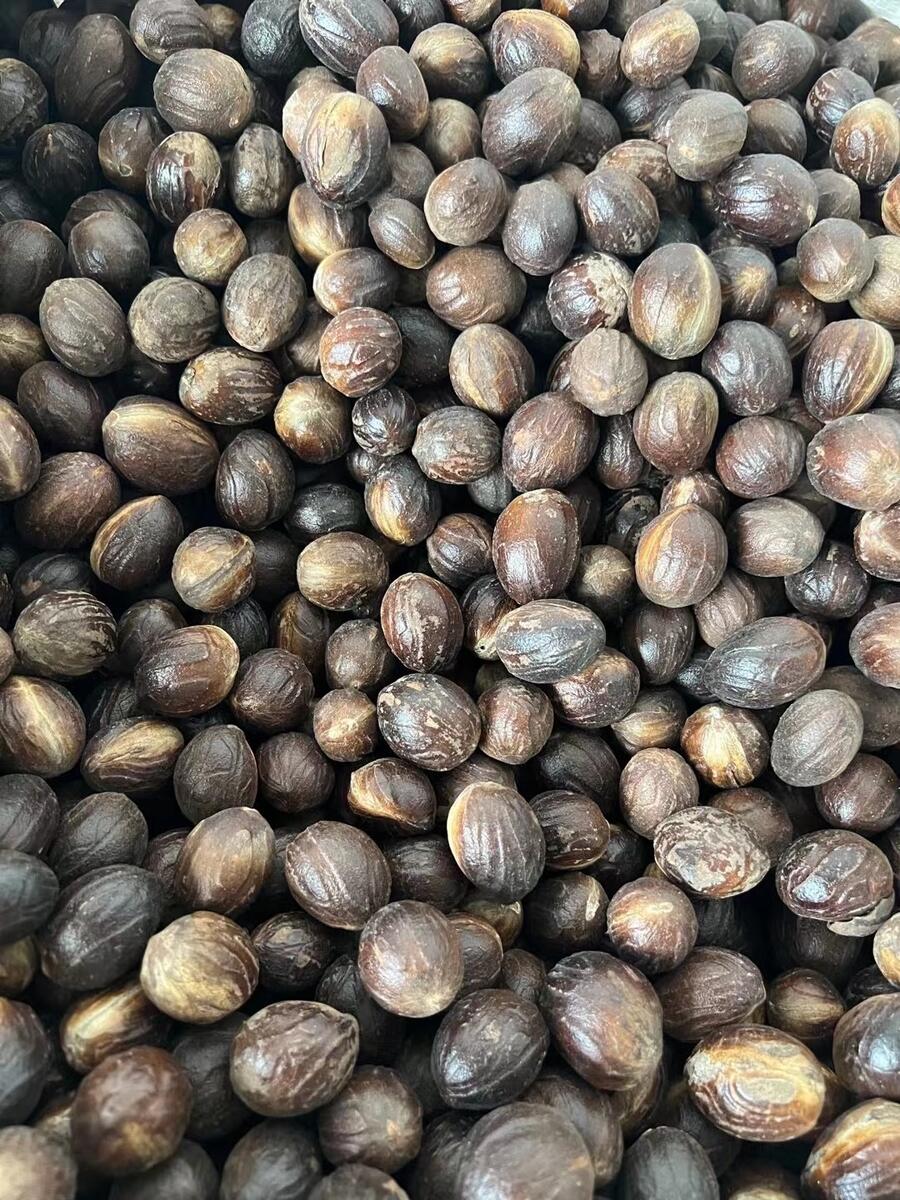 ӡȲغ컨ڰ