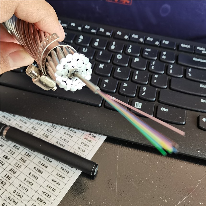 110KVJL/LHA1230/250Ͻ߼۸