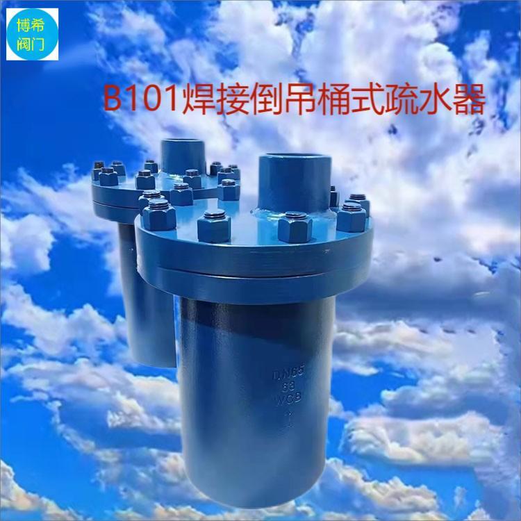 ͰʽԶˮB101
