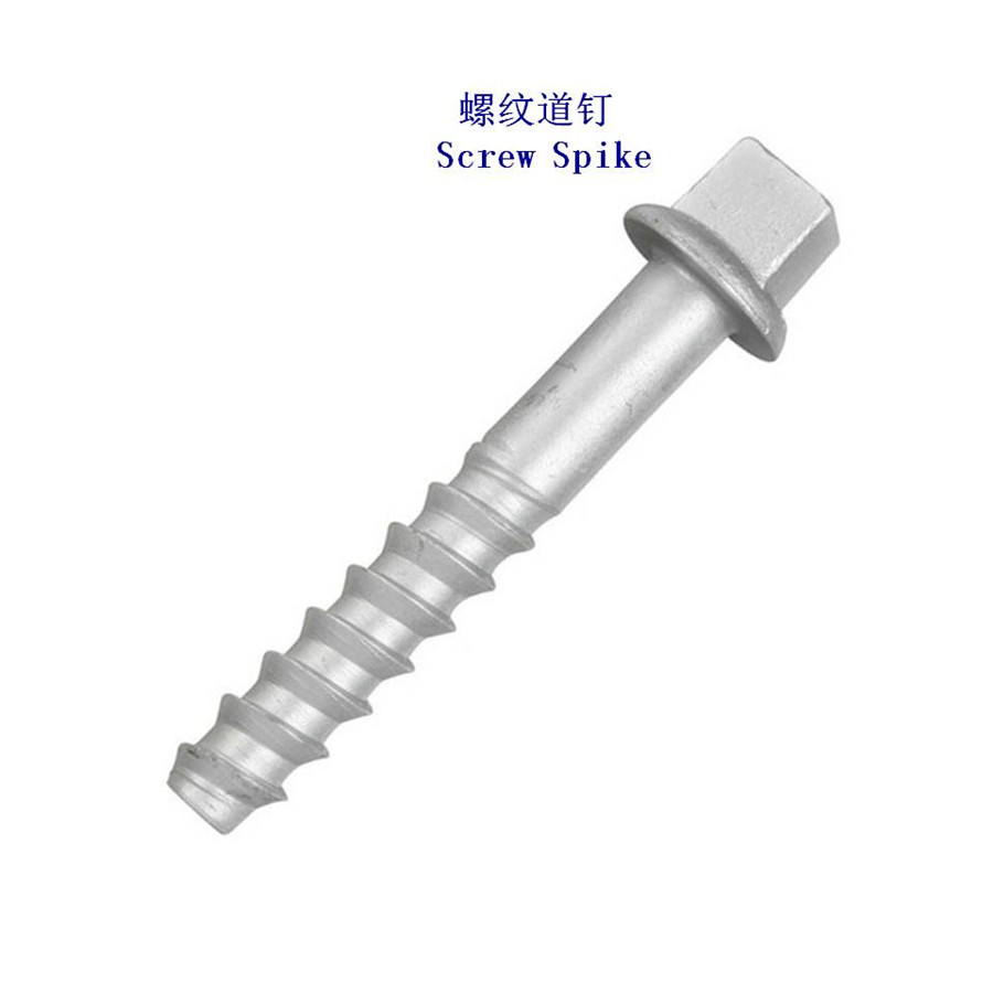 Ss35·