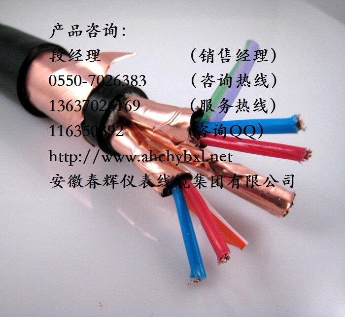 RS485 ZRC-DJYP2VP2-22-2*2*1.0ͨŵ/