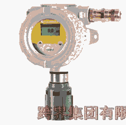 ST450 EC GAS DETECTOR