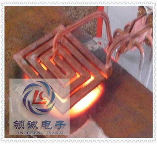 ְ豸