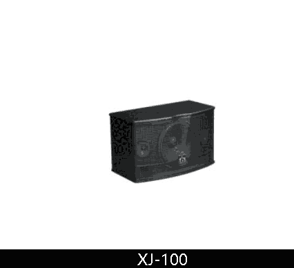 ݺϴķ10翨䣺XJ-100