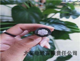 ֽ߳һݰ绰