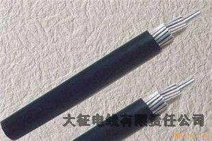 ȸоϽ߳绰