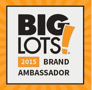 差BIG LOTS鳧嵥 ɶBestBuy鳧ļ