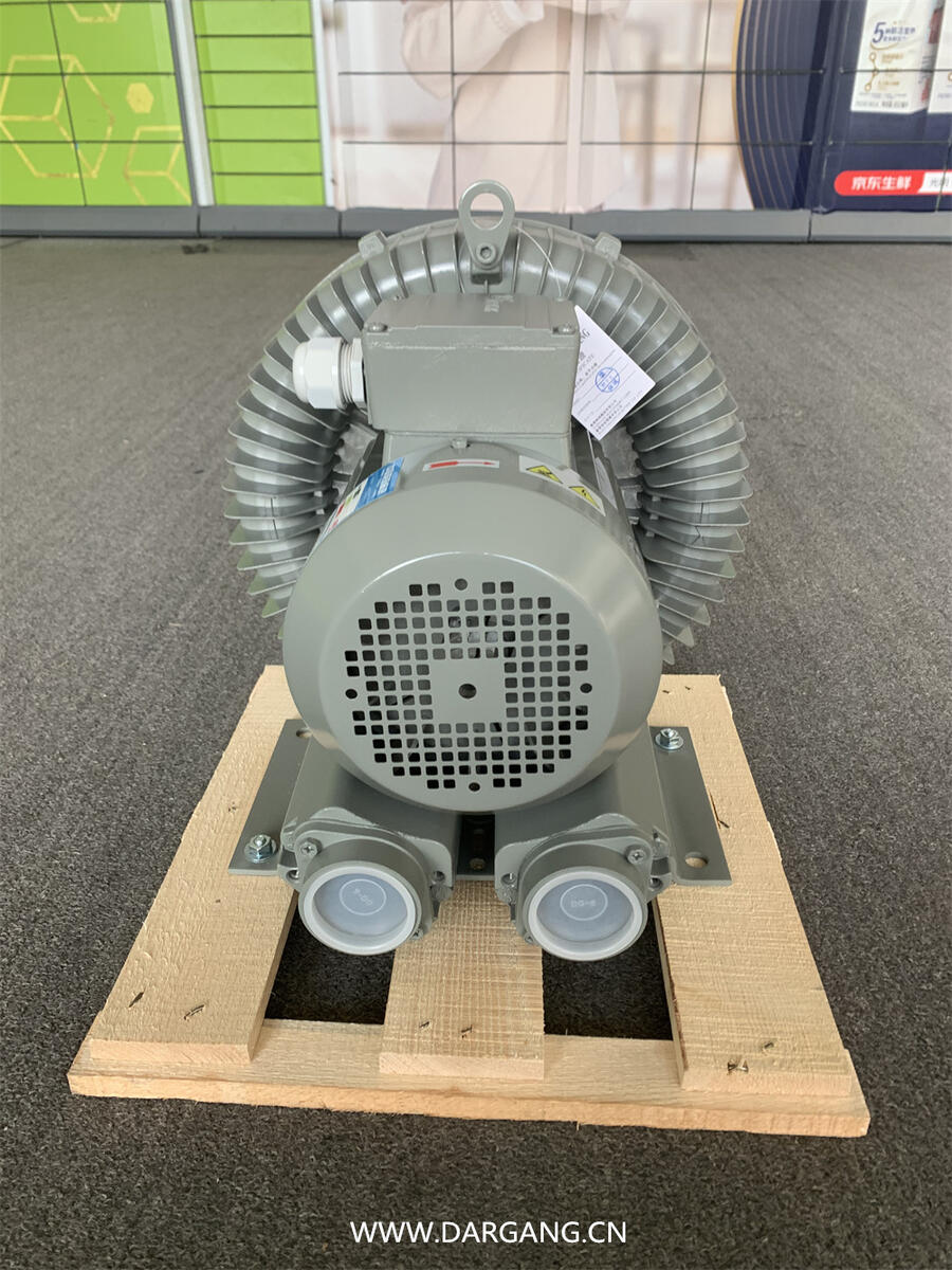 DG-300-36