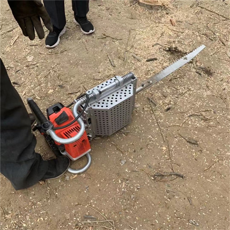 ĽոաзԴͷ