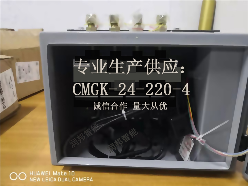 ӦCMGK-24-220-4ܼϵͳŸ