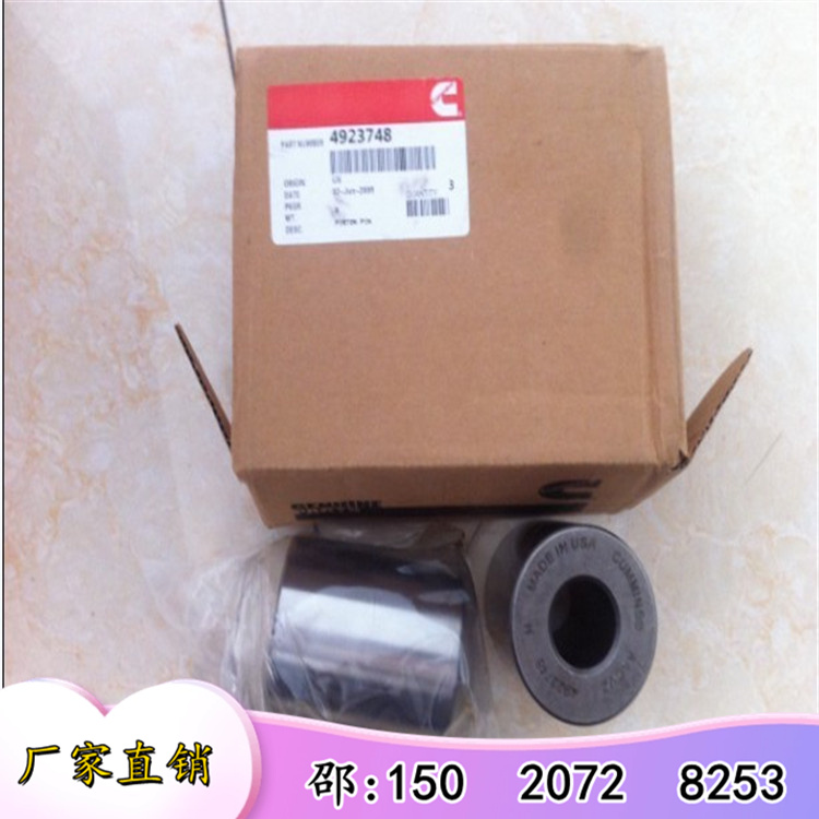 ɽSD32156382850/4923748