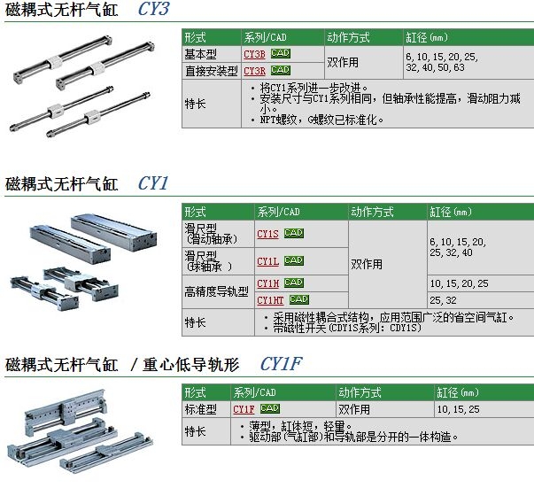 CY3R10-100ٱ