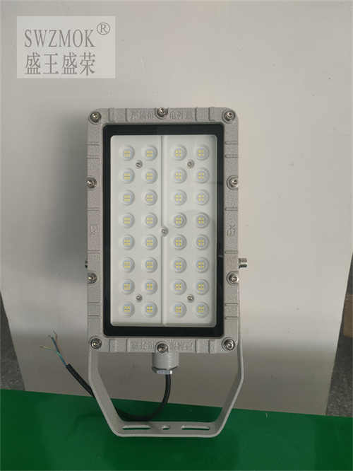 XYJ316LED2024Ѹ£/飩