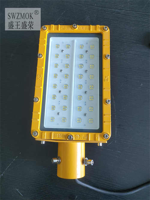 XYJ316LED2024Ѹ£/飩