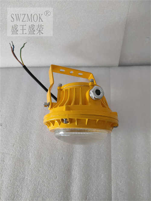 XYJ316LED2024Ѹ£/ѯ