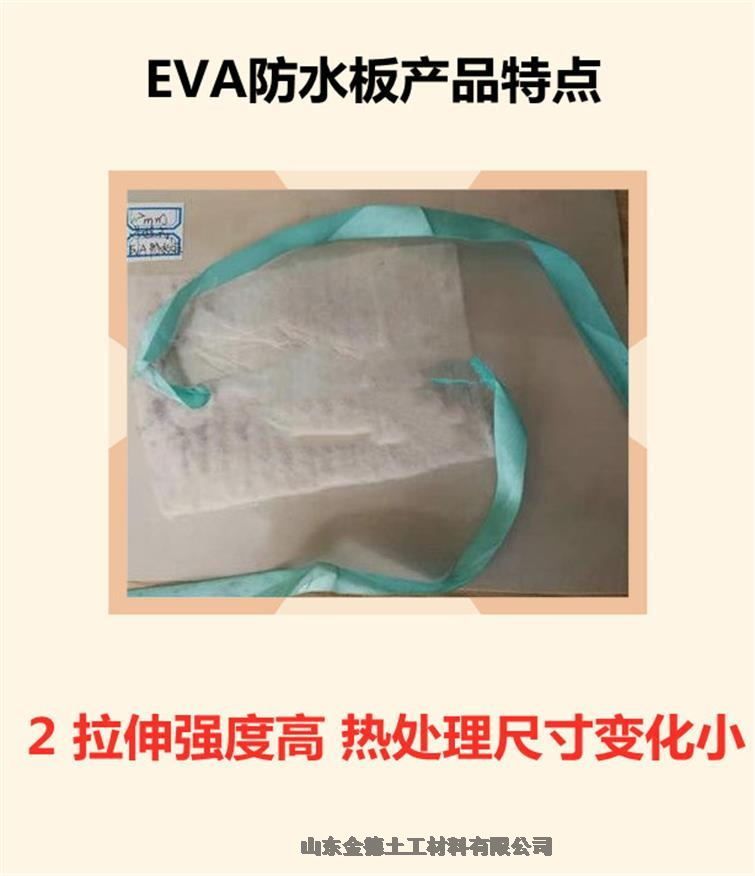  ճEVAˮ2.0ֹṹο