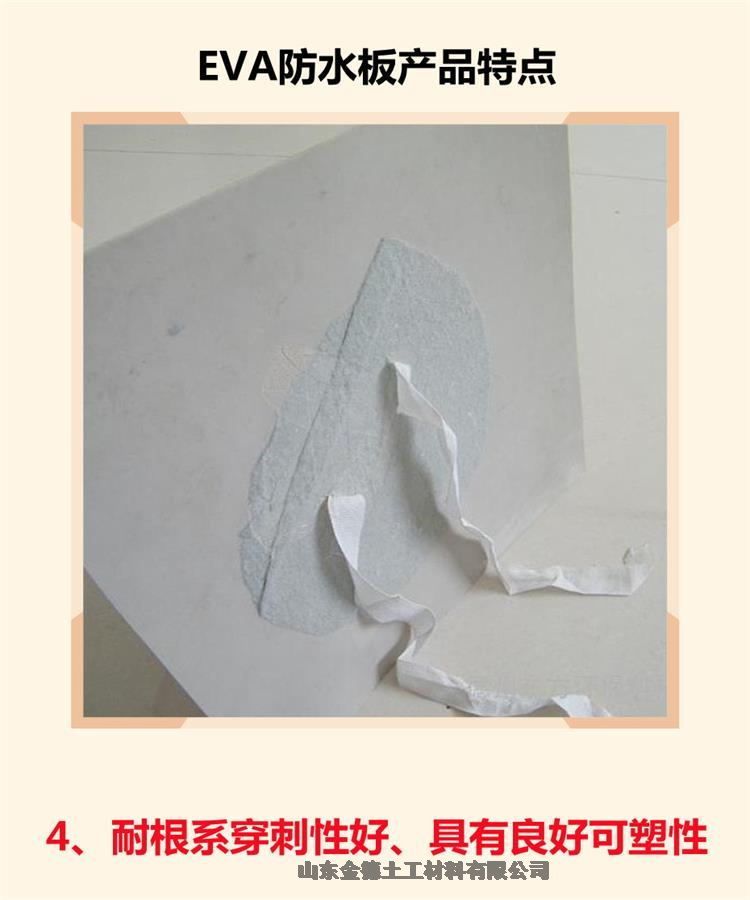 ·ˮ ɰEVAˮ1.5պȶ