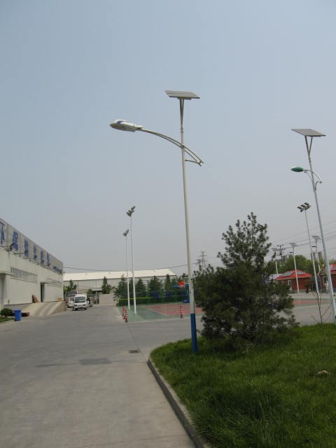 μϻظ߸˵쳧 ۸ʵ