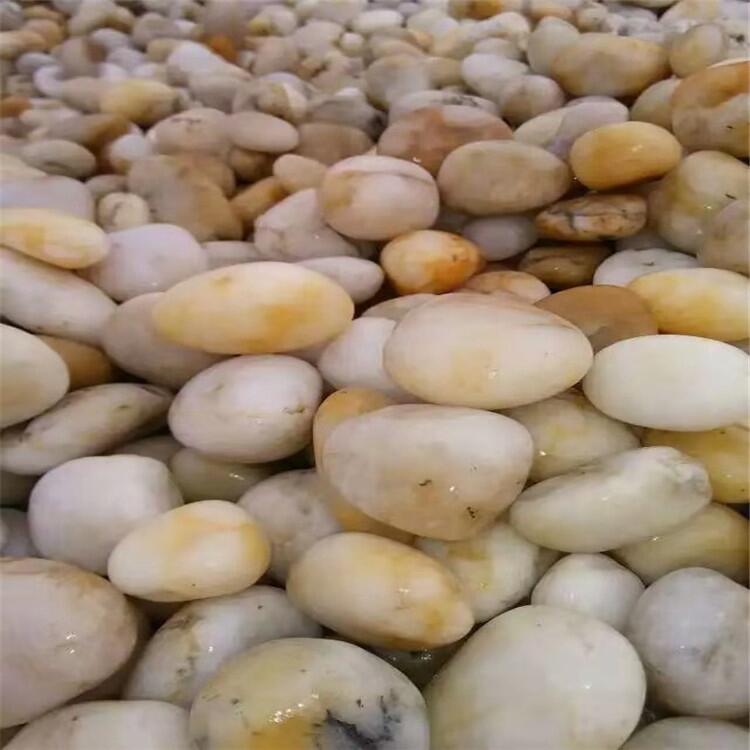 ï׹ʯ ʯ̼