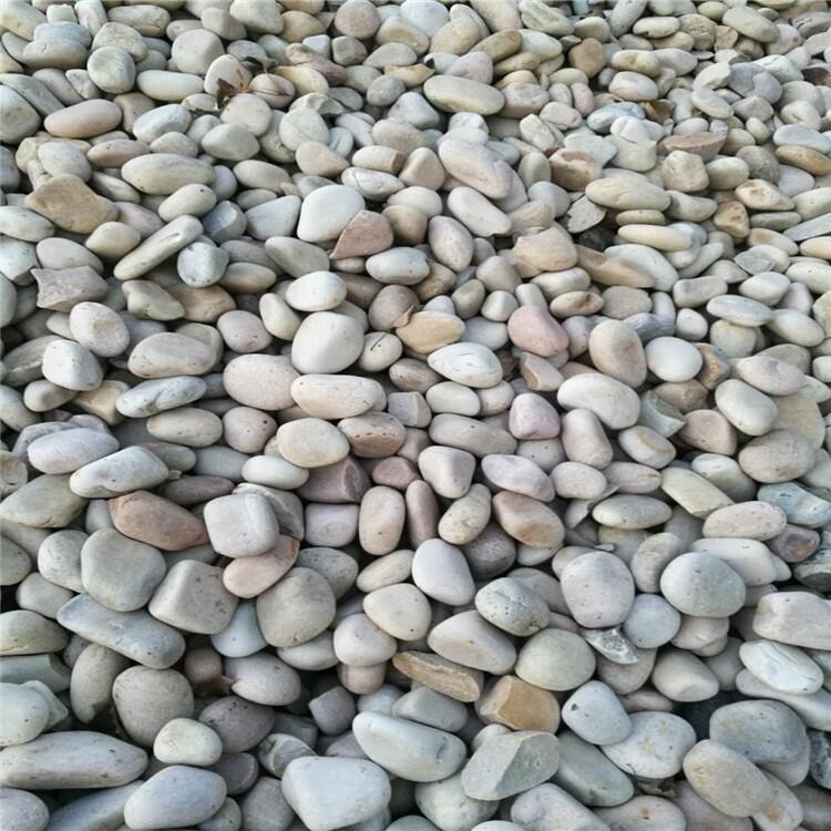 ïͨ׹ʯ 2-4mmʯ̼