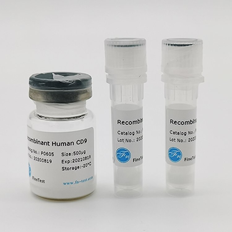 ԴGhrelin鵰(RecombinantHumanGhrelin)